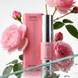 Гель для фіксації брів з дозатором Lendi Strong Fix Brow Gel, 10 мл z012053 фото 2