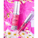 Концентрат фіксуючий для вій та брів Zola x Romashka Fixing Ceramide Concentrate, 15 мл z020979 фото 4